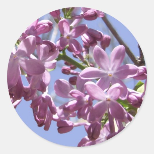 Frühlingsblumen Sticker (Vorderseite)
