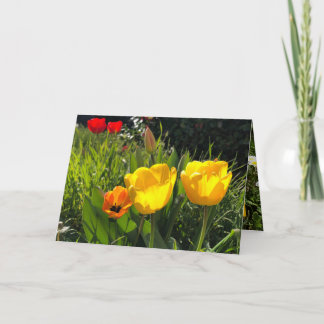 Frühlingsblumen Tulpen Ostergelbe Orange Dankeskarte