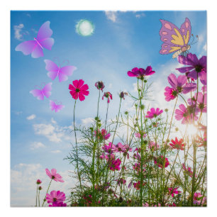 Frühlingsblumen und Schmetterling Poster
