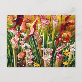 "Frühlingsblumen" Wasserfarbenkunst Postkarte