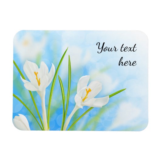 Frühlingsblumen (weißer Krokus) Magnet (Horizontal)