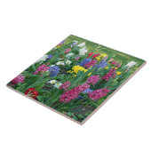 Frühlingsblumen, Wiese Fliese (Seite)