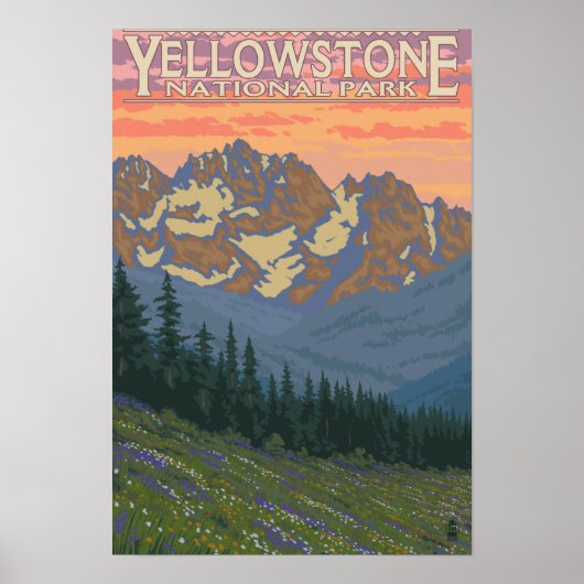 Frühlingsblumen - Yellowstone Nationalpark Poster (Vorne)