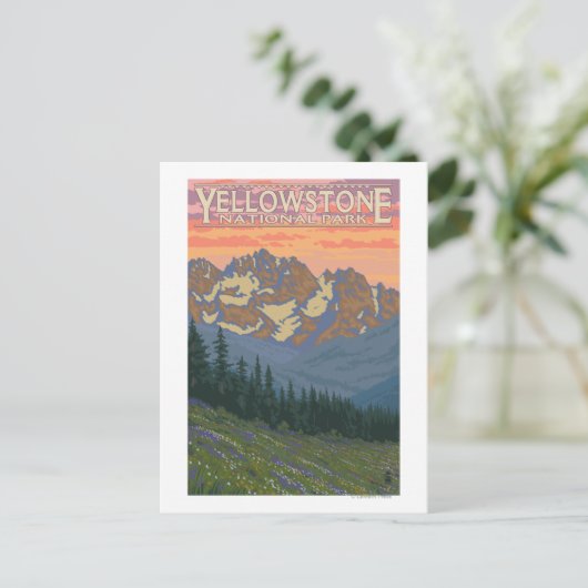 Frühlingsblumen - Yellowstone Nationalpark Postkarte (Stehend Vorderseite)