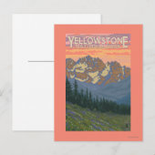 Frühlingsblumen - Yellowstone Nationalpark Postkarte (Vorne/Hinten)