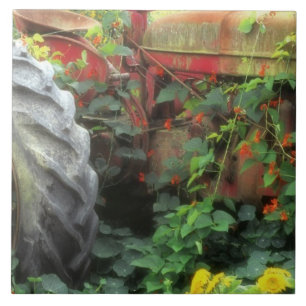 Frühlingsblumen zieren einen alten Traktor. Fliese
