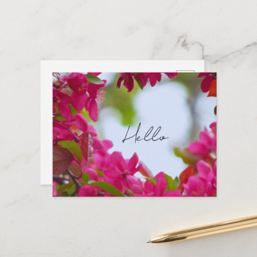 Frühlingsblumenfotografie Postkarte (Vorderseite/Rückseite Beispiel)
