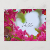 Frühlingsblumenfotografie Postkarte (Vorderseite)