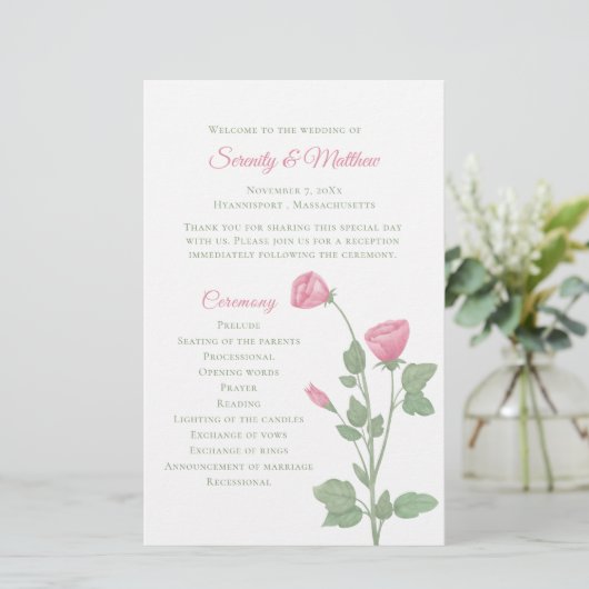 Frühlingsblumengarten Rosa Blumenzwiebelprogramm (Stehend Vorderseite)