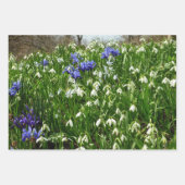 Frühlingsblumenlandschaft am Hang Geschenkpapier Set (Vorderseite 2)