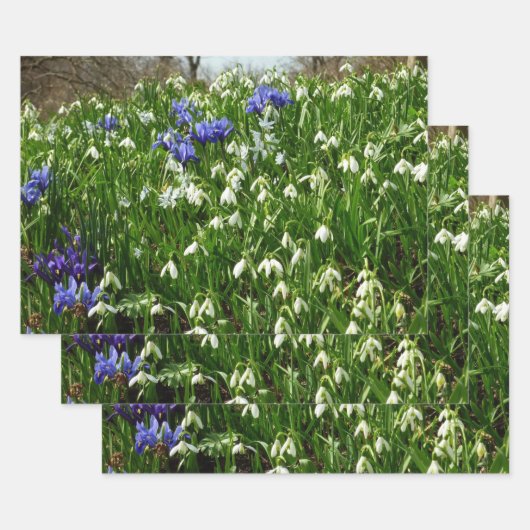 Frühlingsblumenlandschaft am Hang Geschenkpapier Set (Set)