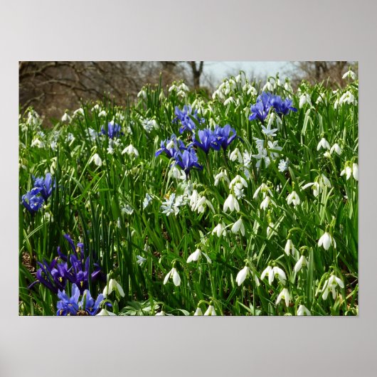 Frühlingsblumenlandschaft am Hang Poster (Vorne)