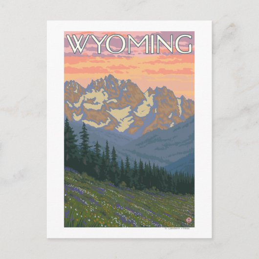 FrühlingsblumenWyomingVintage Travel Poster Postkarte (Vorderseite)