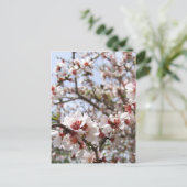 Frühlingsblussel Postkarte (Stehend Vorderseite)
