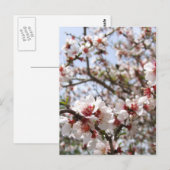 Frühlingsblussel Postkarte (Vorne/Hinten)
