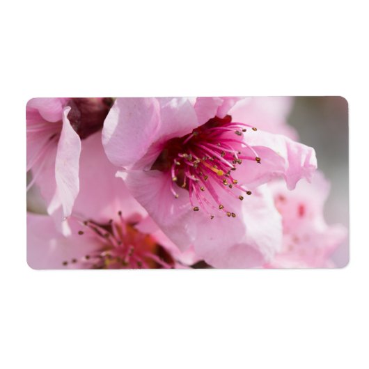 Frühlingsblüte (Vorne)
