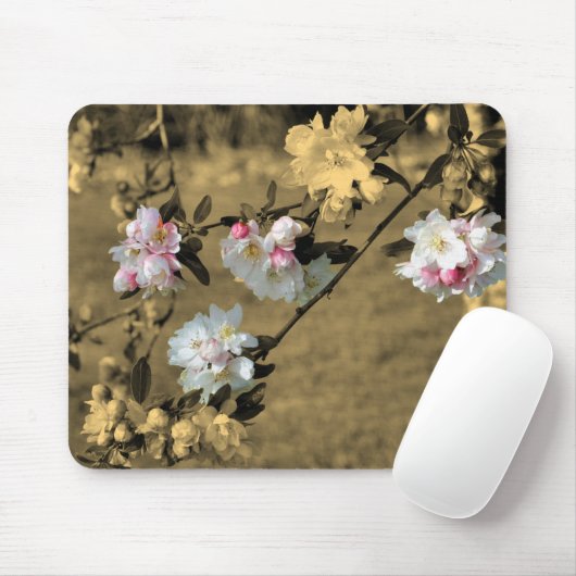 Frühlingsblüte der Blume in Sepia Mousepad (Mit Mouse)