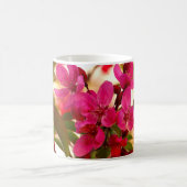 Frühlingsblüte der Blume Kaffeetasse (Mittel)