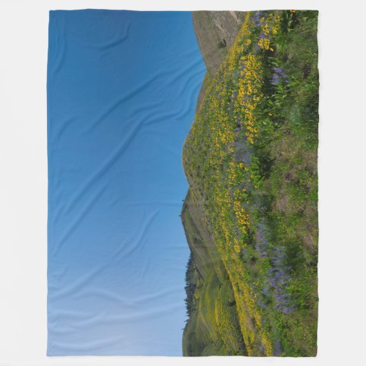Frühlingsblüte der Wüste Fleecedecke (Vorderseite)