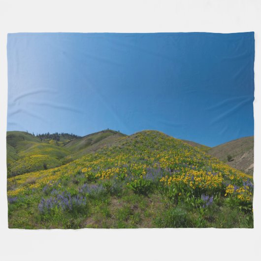 Frühlingsblüte der Wüste Fleecedecke (Vorderseite (Horizontal))