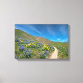 Frühlingsblüte der Wüste Leinwanddruck (Vorderseite)