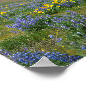 Frühlingsblüte der Wüste Poster (Ecke)