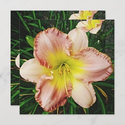 Frühlingsblüte Einladung (Vorne/Hinten)