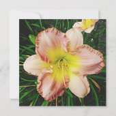 Frühlingsblüte Einladung (Rückseite)