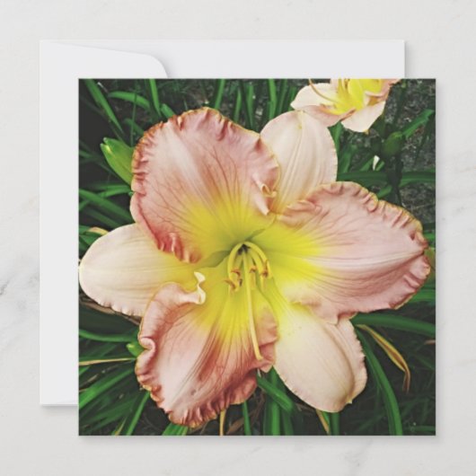 Frühlingsblüte Einladung (Vorderseite)