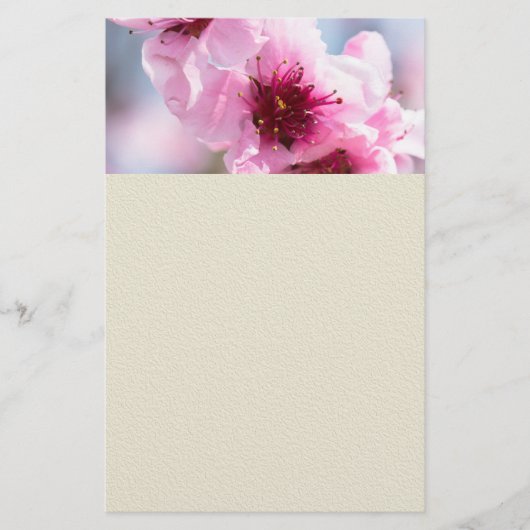 Frühlingsblüte Flyer (Vorne)