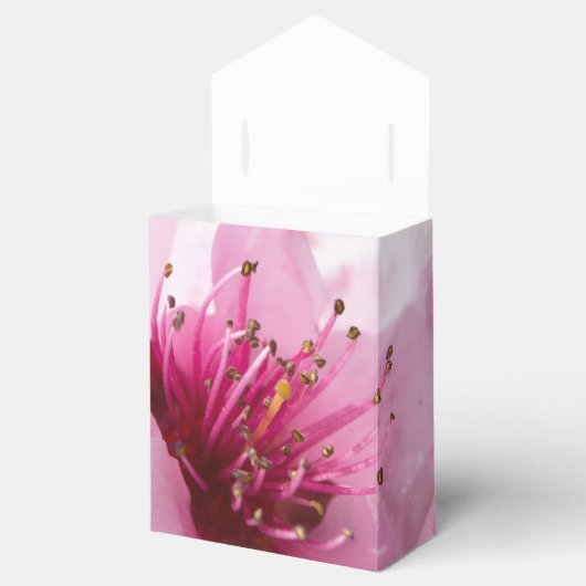 Frühlingsblüte Geschenkschachtel (Geöffnet)