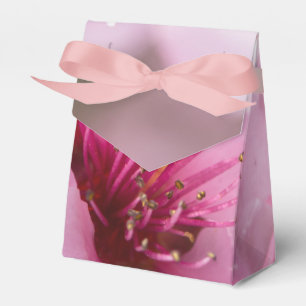 Frühlingsblüte Geschenkschachtel
