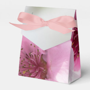 Frühlingsblüte Geschenkschachtel