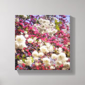 Frühlingsblüte in Wales in Weiß und Rosa Leinwanddruck (Vorderseite)