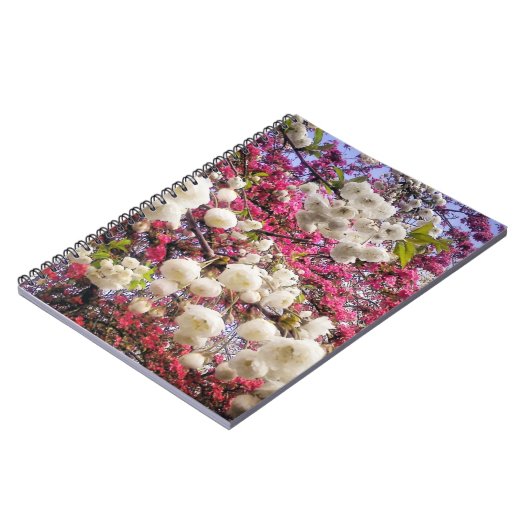 Frühlingsblüte in Wales in Weiß und Rosa Notizblock (Linke Seite)