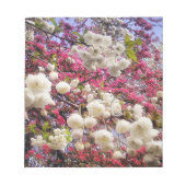 Frühlingsblüte in Wales in Weiß und Rosa Notizblock (Vorderseite)