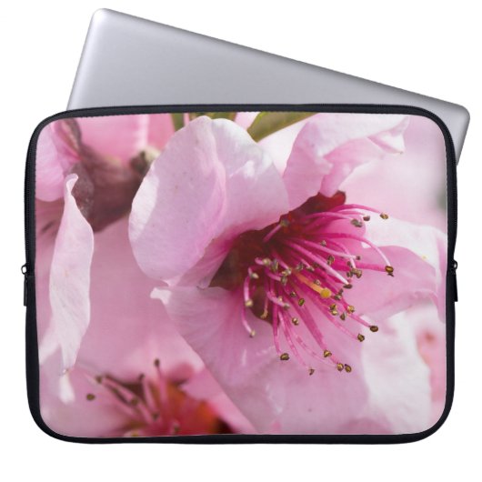 Frühlingsblüte Laptopschutzhülle (Vorderseite)