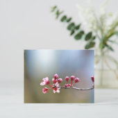 Frühlingsblüte Postkarte (Stehend Vorderseite)