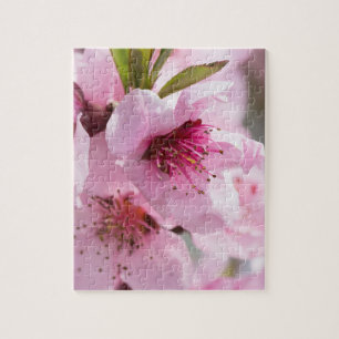 Frühlingsblüte Puzzle