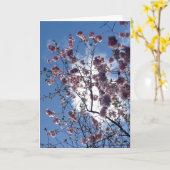 Frühlingsblüte von der Loch- Nessgruß-Karte Karte (Gelbe Blume)