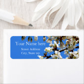 Frühlingsblüten (Insitu)