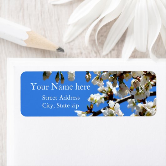 Frühlingsblüten (Insitu)