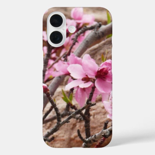 Frühlingsblüten auf Zion-Felsen Case-Mate iPhone Hülle (Rückseite)