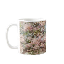 Frühlingsblüten in Blüte