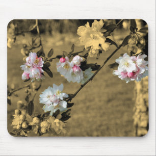 Frühlingsblüten in Sepia Mousepad