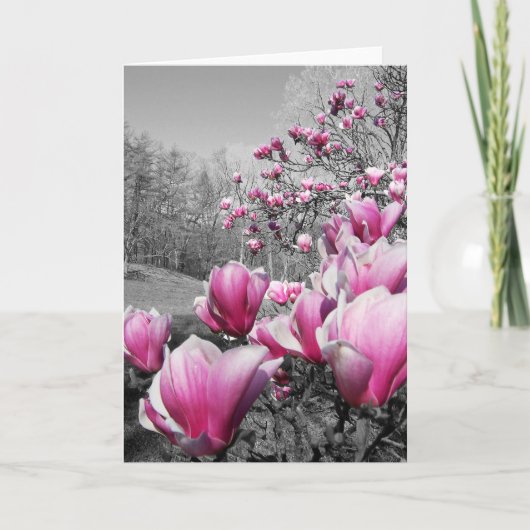 Frühlingsblüten Karte (Vorderseite)