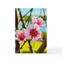 Frühlingsblüten Leere Karte