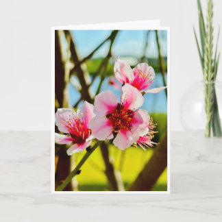 Frühlingsblüten Leere Karte