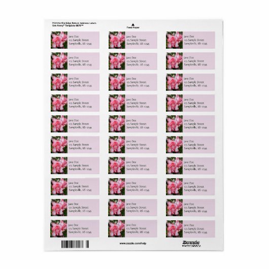 Frühlingsblüten mit doppeltem Rot und weißem Azale (Vorne)