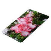 Frühlingsblüten mit doppeltem Rot und weißem Azale Magnet (Linke Seite)